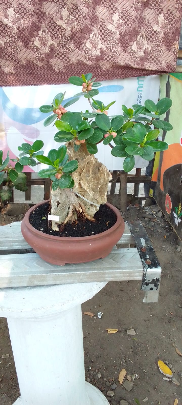 Foto 2
